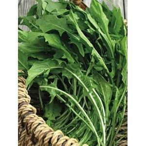   Cooks Garden   Greens, Dandelion Ameliore Tangy Patio, Lawn & Garden