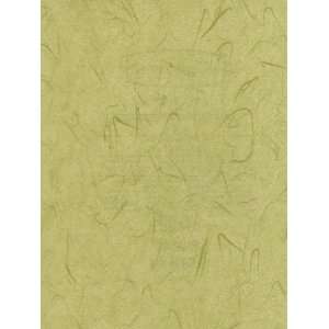  COLOUR BY DESIGN PASTEL Wallpaper  BC1581770 Wallpaper 