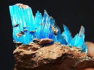 All Natural Blue Chalcanthite on Matrix, Planet Mine, AZ CHA146 