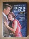 splendor in the grass dvd  