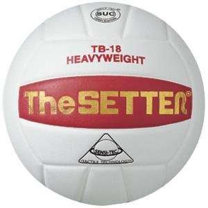   Worldwide Tachikara® Tb18 the Setter Volleyball