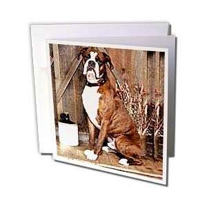  Dogs Boxer   Brindle Boxer   Greeting Cards 6 Greeting 