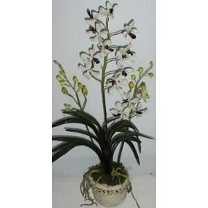 27 Deluxe Triple Vanda Orchid