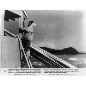  Northern Canada Eskimo on ladder building house,c1956 