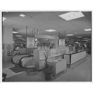   Richs department store, business in Knoxville, Tennessee. To bar 1955
