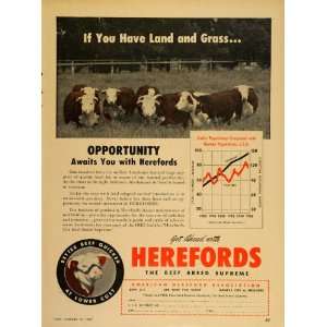   Association Beef Cattle Breed   Original Print Ad