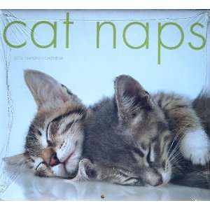  2012 Cat Naps 16 Month Calendar 12 x 11 inch Office 