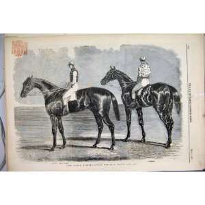    1851 York Meeting Spring Great National Match Horse