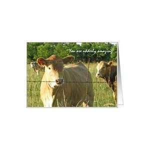  Cow Humor Animal Business Employee Appreciation Card Card 