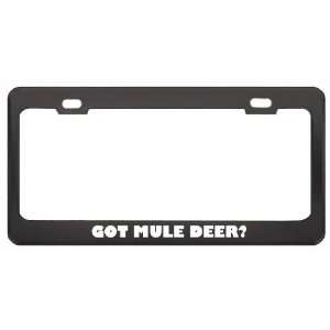Got Mule Deer? Animals Pets Black Metal License Plate Frame Holder 