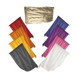  StylePlus F1 Practice Flags (Canary) Musical Instruments