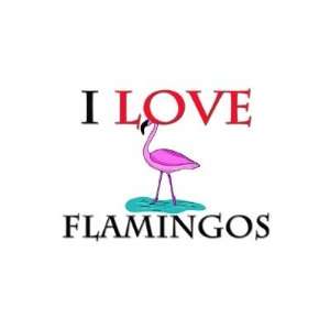  I Love Flamingos Sticker Arts, Crafts & Sewing
