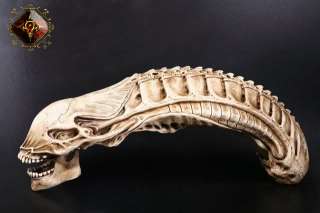 COOL Alien Fossil Resin Replica Model Size 11 Unique Free Shpping 