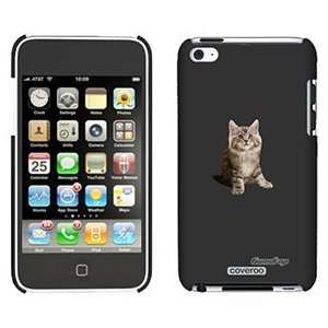  Maine Coon on iPod Touch 4 Gumdrop Air Shell Case 