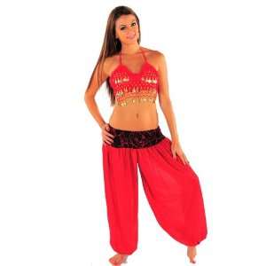  Belly Dancer Harem Pants & Top Costume Set  Dream Droplet 