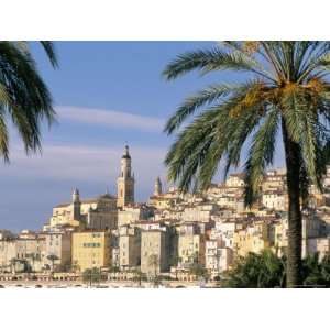 Old Town Framed by Palms, Menton, Alpes Maritimes, Cote dAzur 