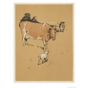 White Bulldog Approaches a Docile Looking Cow in a Field Giclee Poster 