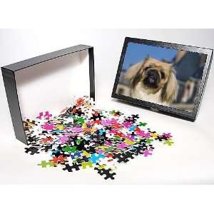   Jigsaw Puzzle of Pekingese Dog from Ardea Wildlife Pets Toys & Games