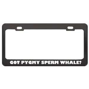 Got Pygmy Sperm Whale? Animals Pets Black Metal License Plate Frame 