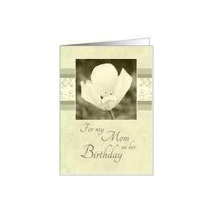  Happy Birthday Mom from Son   White Flower Card Health 