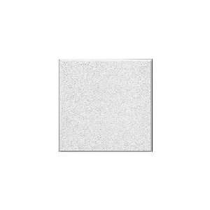  Armstrong 24 x 24 Panel Ceiling Tile SC266B