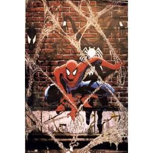 Spider man Poster Todd McFarlane 1990 