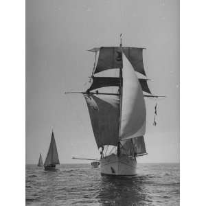  Sailing Ship Yankee Sailing with Other Boats Premium 