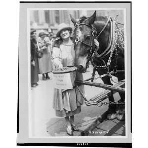   dumb animals,aid,Frieda Hempel,horses,New York,NY,1925