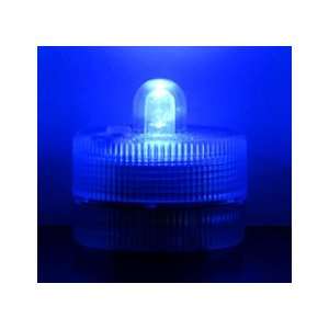 Submersible Floralyte Blue LED Lights 