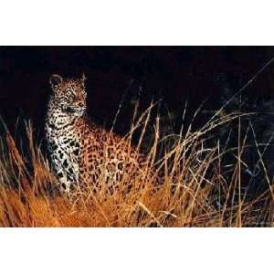  Matthew Hillier   The Leopard Hunts Alone Artists Proof 