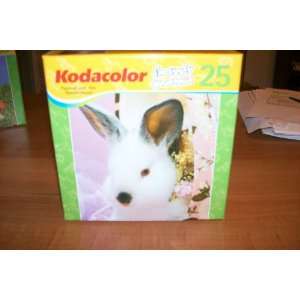    Kodacolor Im Fuzzy 25 Piece Puzzle  Blair The Bunny Toys & Games