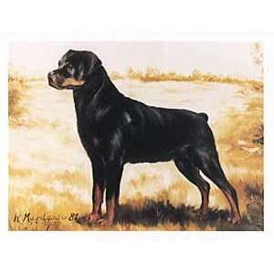  Rottweiler in Field Notecards 