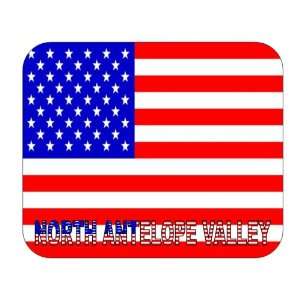  US Flag   North Antelope Valley, California (CA) Mouse 
