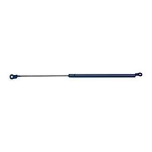  Avm Ind 95797 Lift Support Automotive