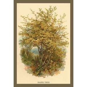  Paper poster printed on 20 x 30 stock. Hazel Tree