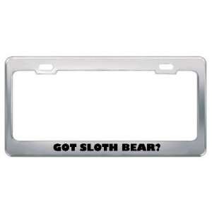 Got Sloth Bear? Animals Pets Metal License Plate Frame Holder Border 