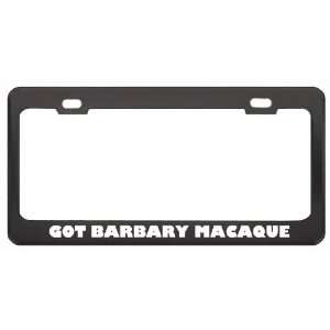 Got Barbary Macaque Ape? Animals Pets Black Metal License Plate Frame 