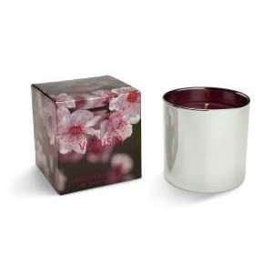  Voluspa Japanese Plum Bloom Metallic Candle 5 oz Health 