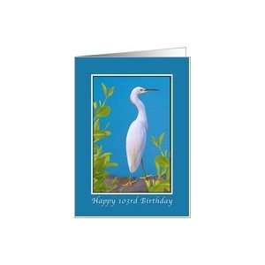  Birthday, 103rd, Snowy Egret Bird Card Toys & Games