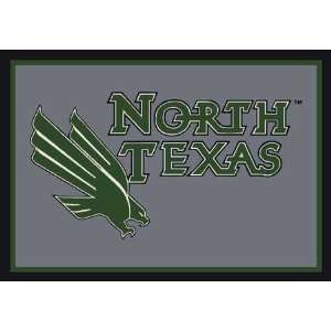    NCAA Team Spirit Rug   North Texas Eagles