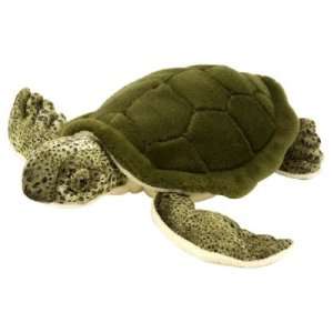  Cuddlecove Green Sea Turtle 8 by Wild Republic Toys 