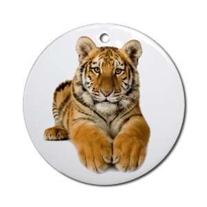  Ornament (Round) Bengal Tiger Youth 