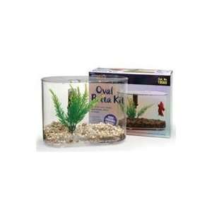  Best Quality Oval Betta Kit / Size Mini By Lee S Aquarium 