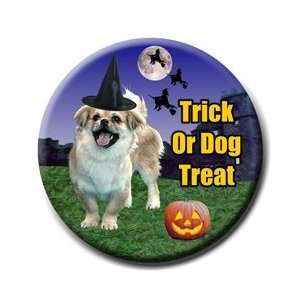 Tibetan Spaniel Halloween Pin Badge Button
