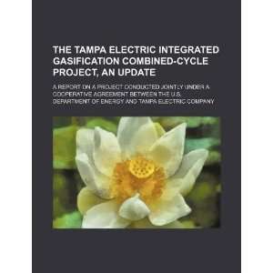  The Tampa Electric integrated gasification combined cycle 