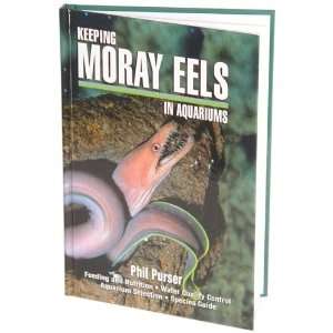  Keeping Moray Eels In Aquariums