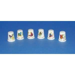    6 Porcelian Butterfly Thimbles. Gold Trimmed. 