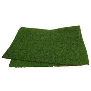  Training Place Replacement Grass (Quantity of 3) Health 