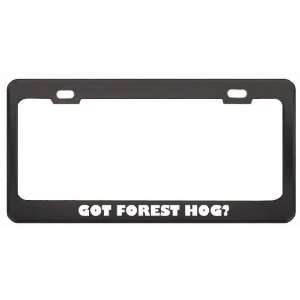 Got Forest Hog? Animals Pets Black Metal License Plate Frame Holder 
