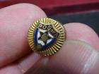 Order Sons of Italy in America LEF Lion Pin (AMT)  